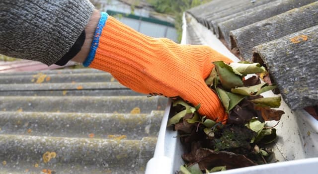 Technician clearing debris from residential gutters in Durham Region, Ontario